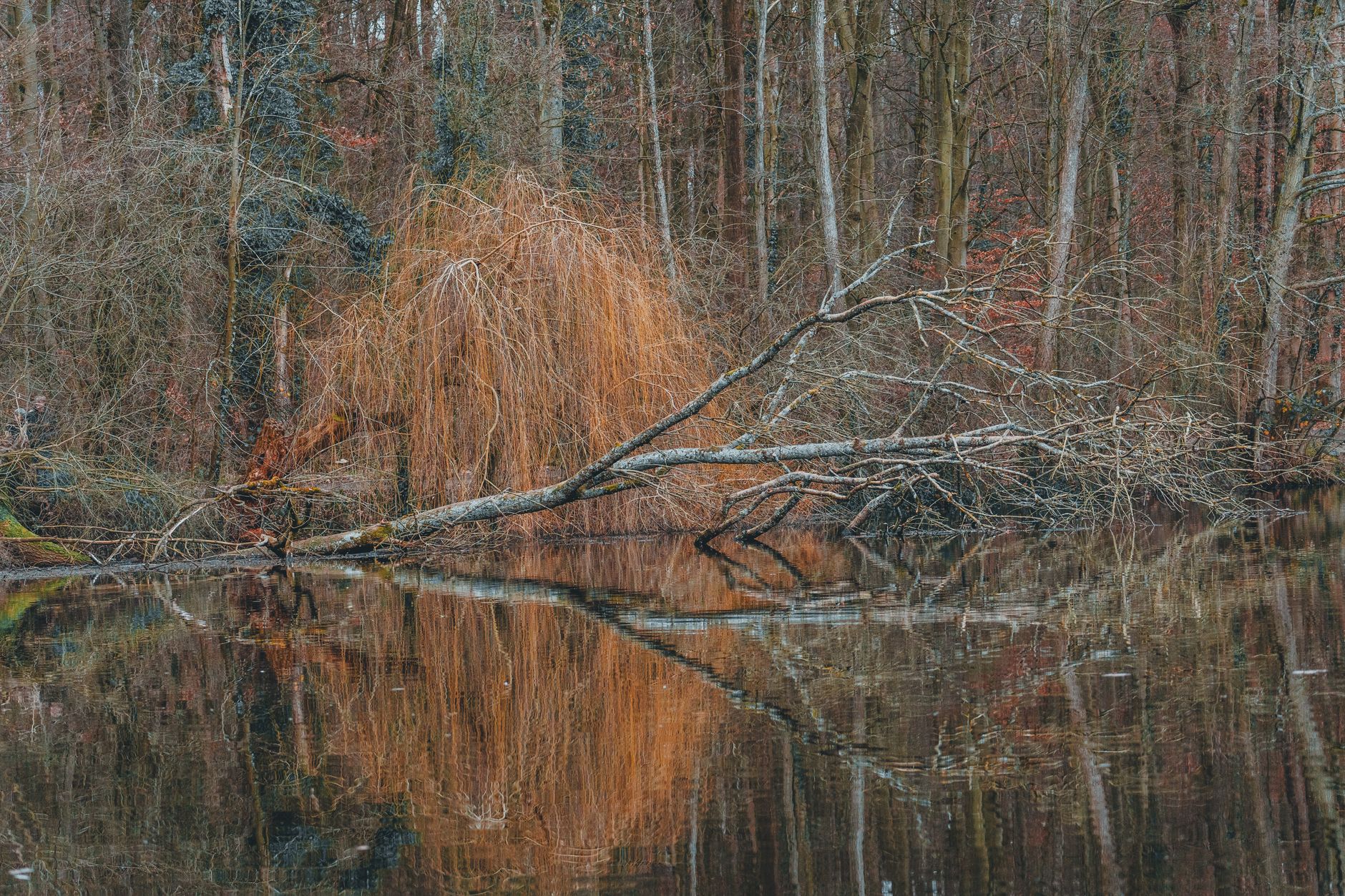 Le Lac du Bel Air à Priziac, destination estivale prisée
