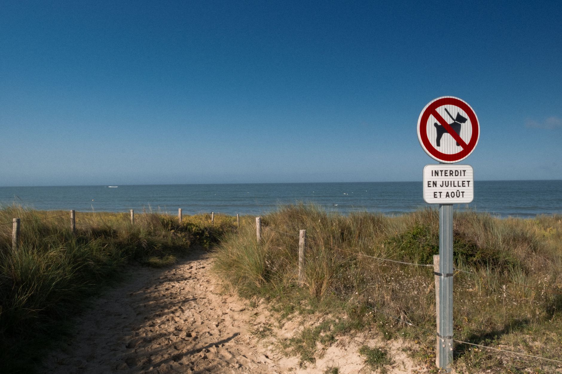 Interdiction de baignade au lac de Caniel à cause des cyanobactéries