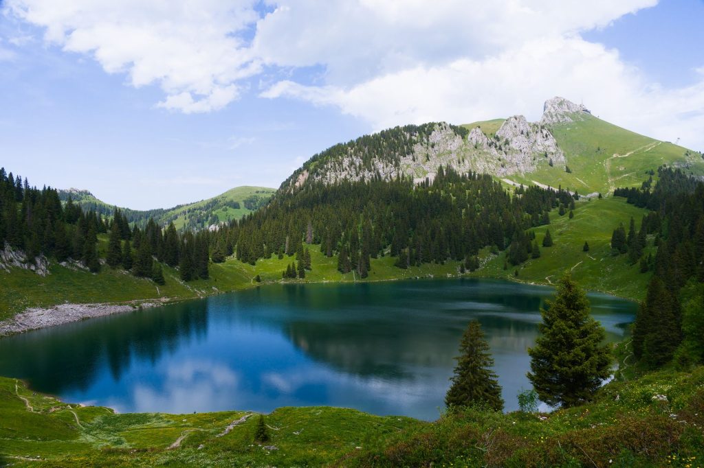 Faune et flore des lacs savoyards : enjeux et préservation