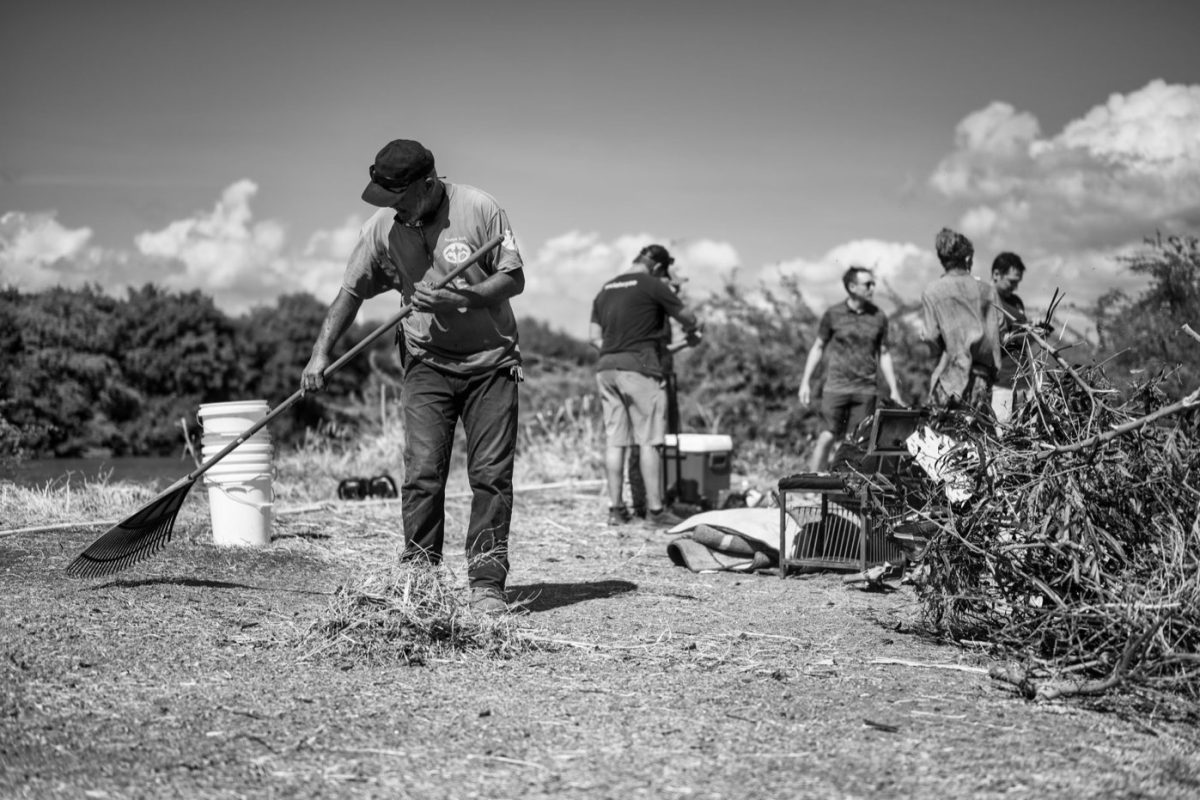 Règles et bonnes pratiques pour les rives et la biodiversité