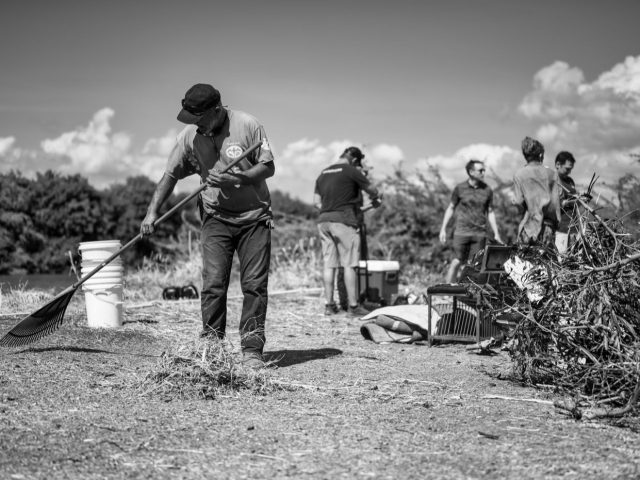 Règles et bonnes pratiques pour les rives et la biodiversité