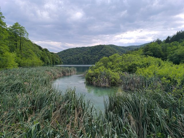 Règles de baignade à Messein : enjeux et recommandations