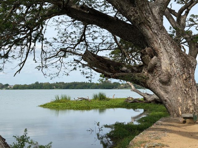 Interdiction de baignade au lac de Villerest : raisons et implications