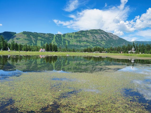 Sécurité et santé : l’interdiction temporaire des activités nautiques dans les étangs de montagne