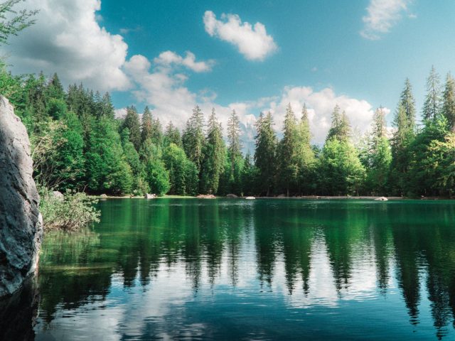 Cyanobactéries : Attention aux activités nautiques au bord des lacs !
