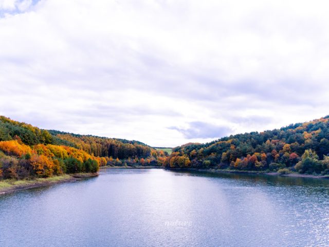 Interdiction de baignade et d’activités nautiques au lac de Casteljaloux : Comprendre les enjeux