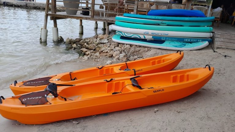 Activités nautiques à Aix-les-Bains : paddle, kayak, voile