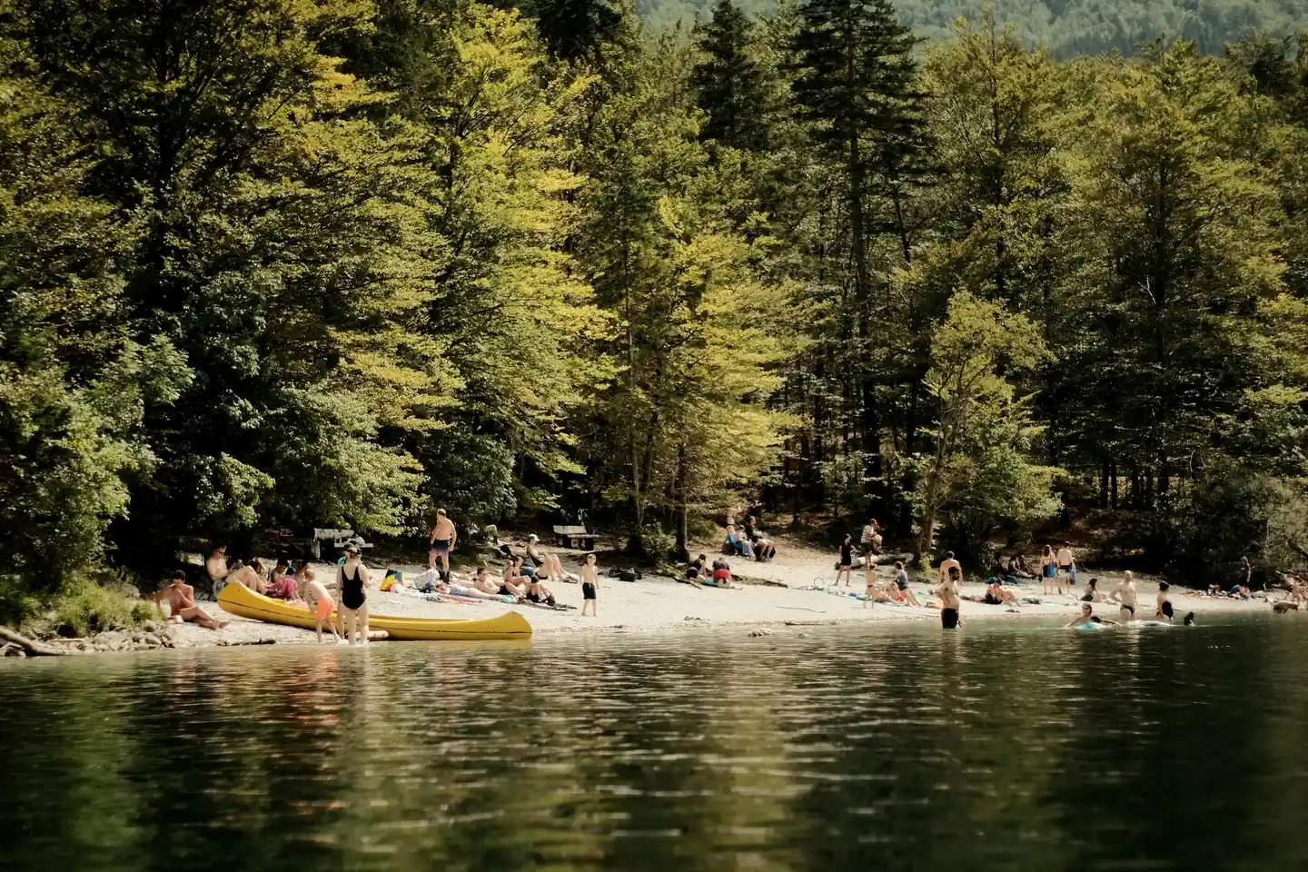 Petite plage de sable au bord d'un lac entouré de pins, baigneurs et kayak jaune
