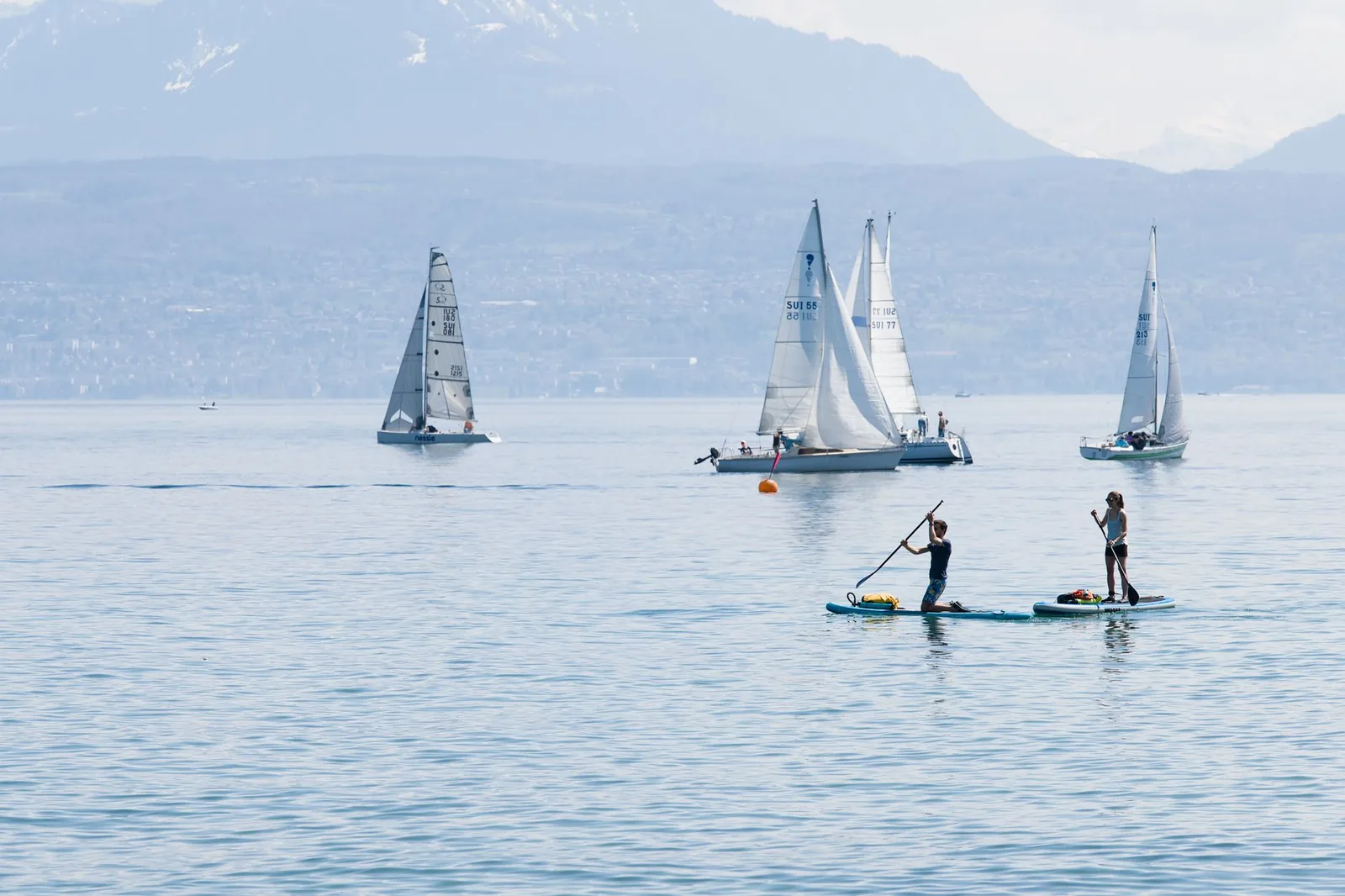 Deux pagayeurs sur des planches de paddle parmi des voiliers sur un grand lac de montagne
